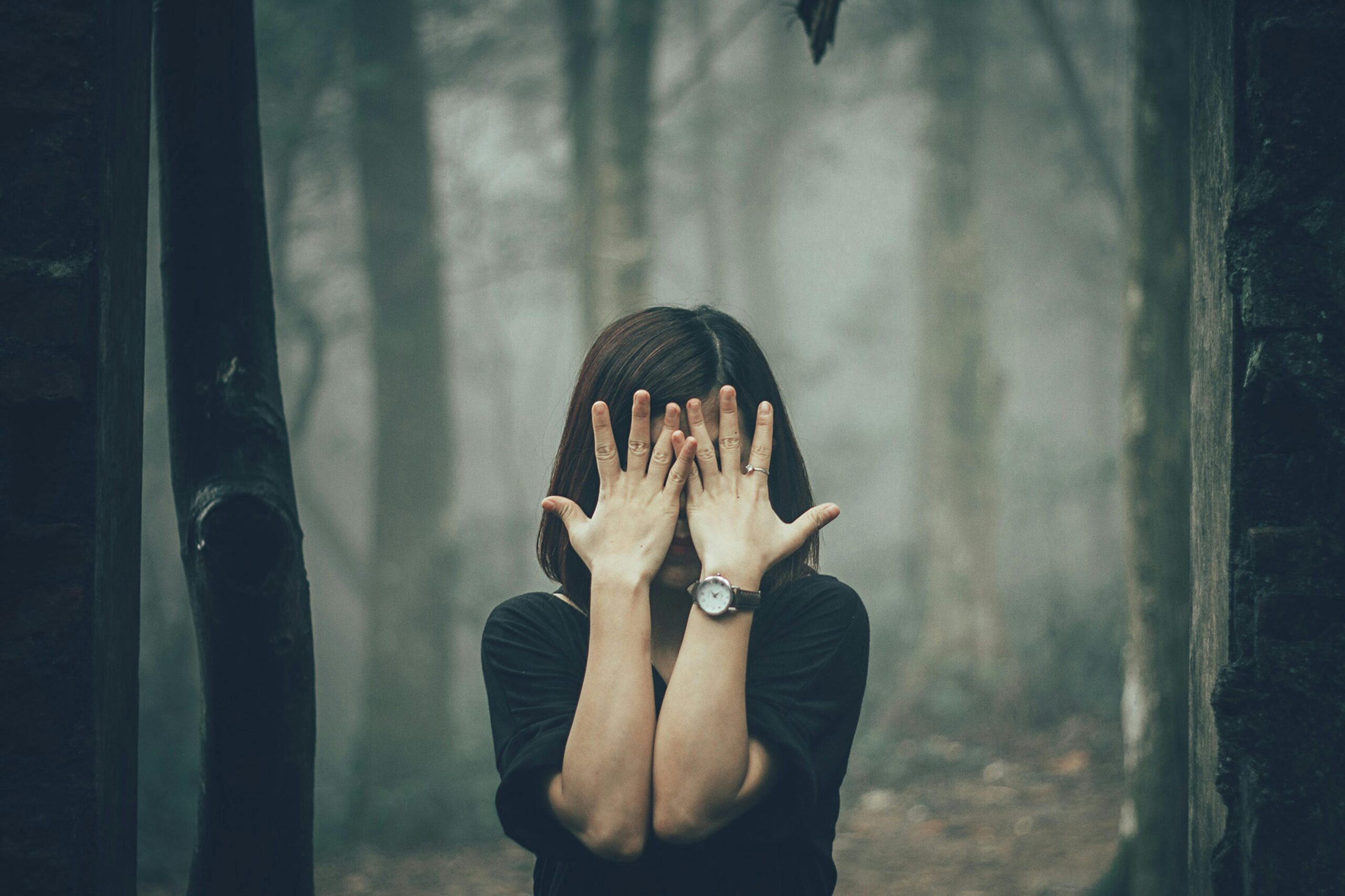 trauma therapy in Wheat Ridge Colorado serving Denver area